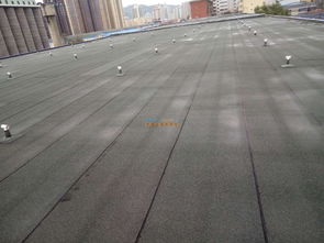 甘肅東方一代 專業防水防腐保溫與水電維修服務專家